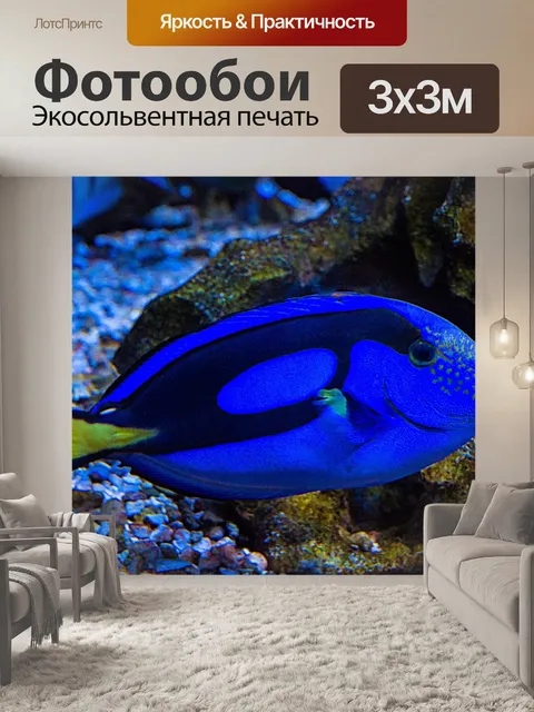 Фотообои Аквариум