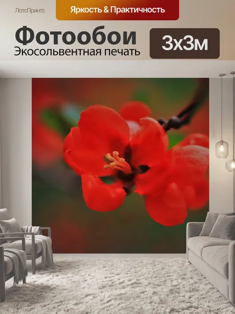 Фотообои Расцветает