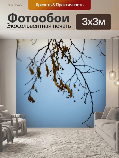 Фотообои Ветви дерева
