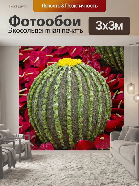 Фотообои Бочка кактусов
