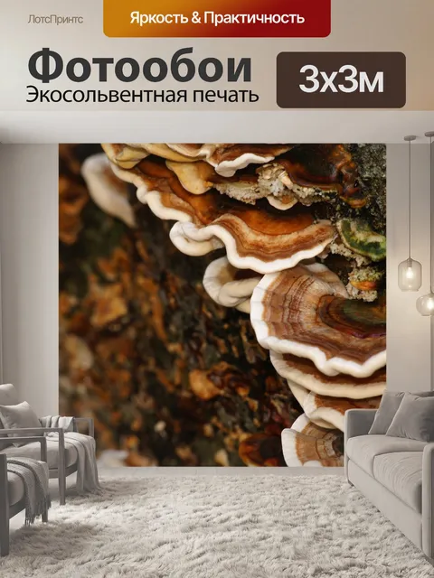 Фотообои Грибы