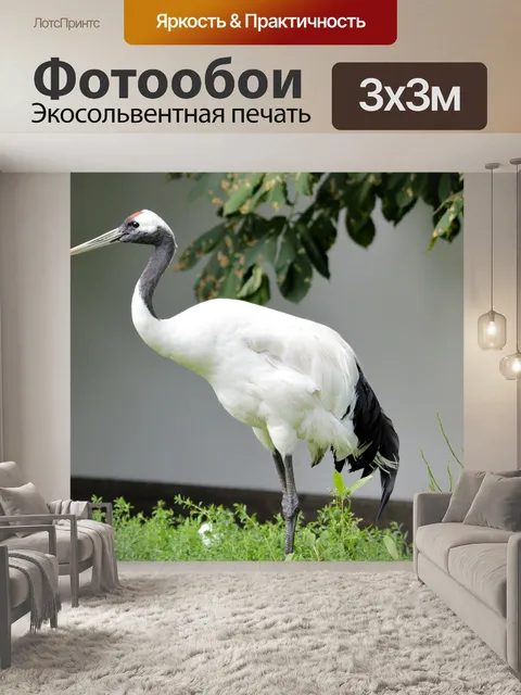 Фотообои Японский журавль