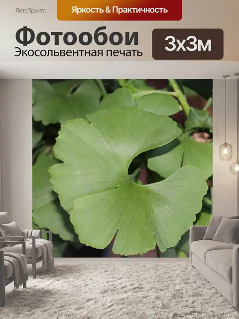 Фотообои Гинкго