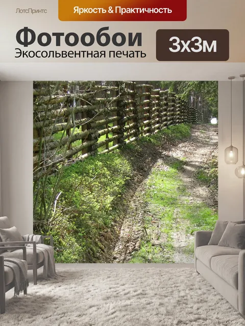 Фотообои Лес