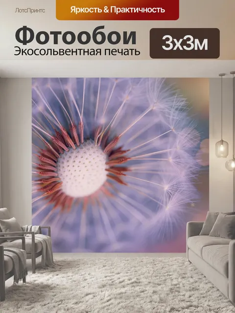 Фотообои Цветок одуванчика Blossom Dandelion