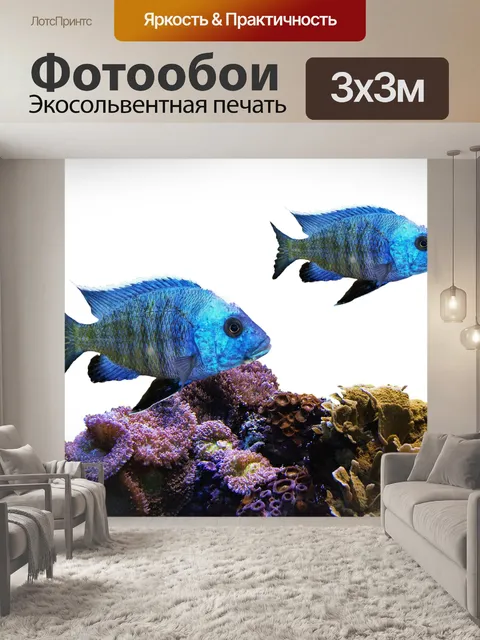 Фотообои Рыбы
