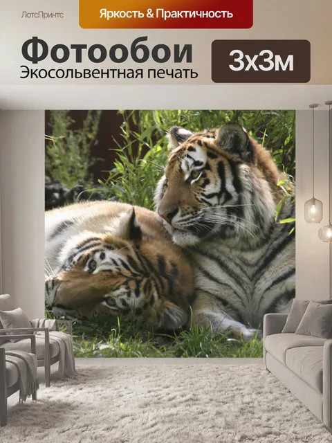 Фотообои Тигры