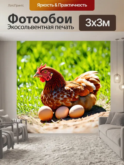 Фотообои курица, несущая яйца, на фоне солнечного патока, с очищенными перьями и ярким клювом, динамическая поза…
