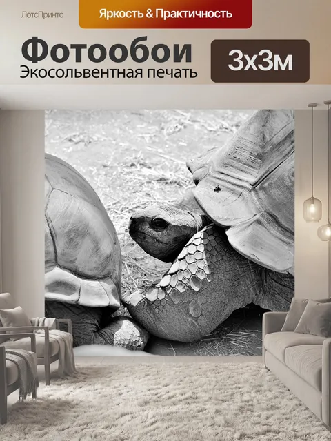 Фотообои Черепаха