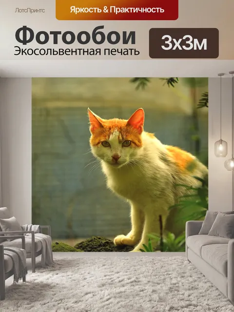 Фотообои Дикая кошка