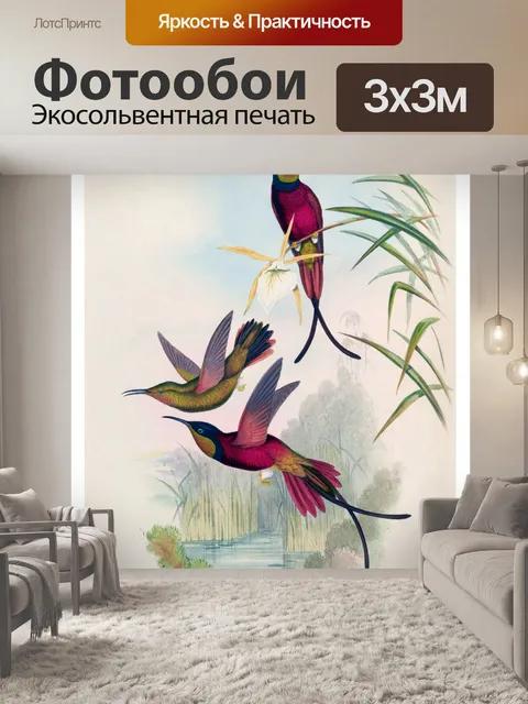 Фотообои Колибри птица винтаж старый