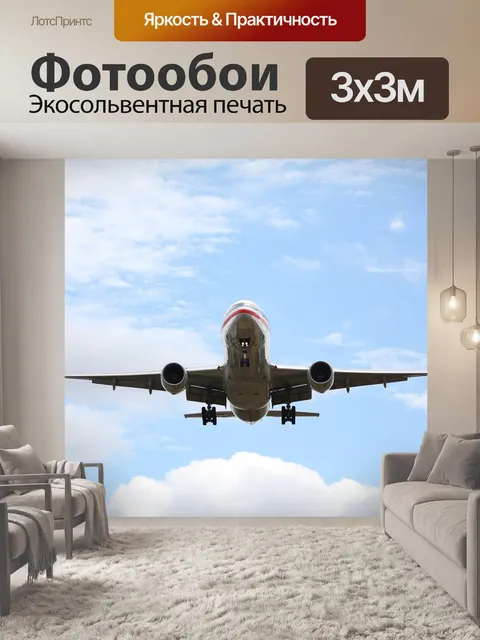 Фотообои Пассажирский самолет