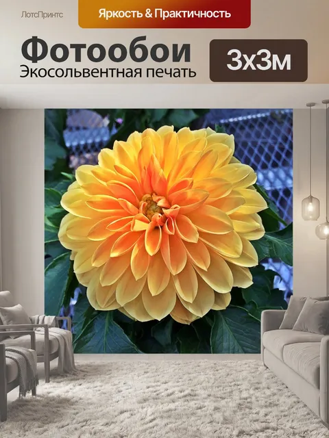 Фотообои Далия