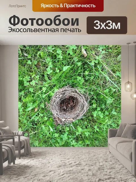 Фотообои Птичье гнездо