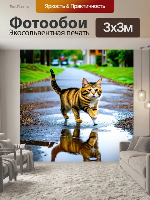 Фотообои кошки, прыгающие по лужам после дождя