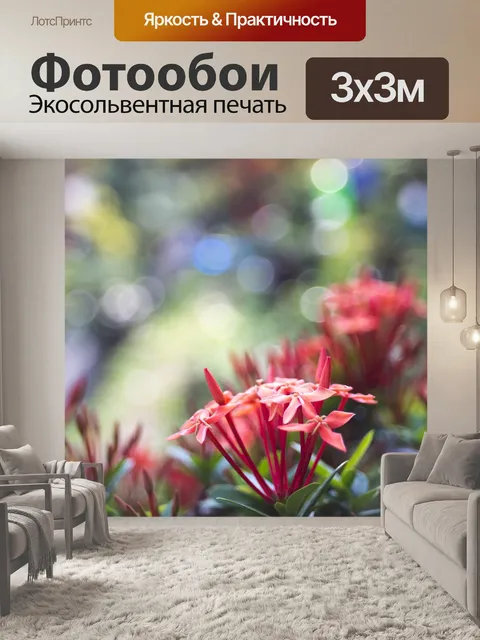 Фотообои Фиолетовый