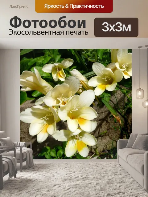 Фотообои Цветы