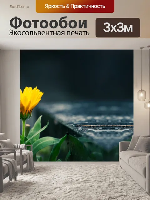 Фотообои Полевые календулы, желтый цветок, растен
