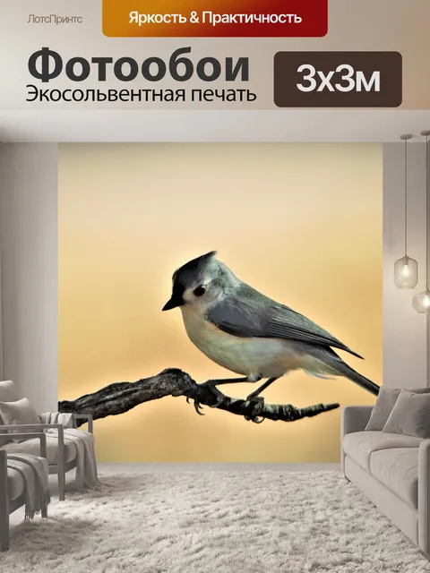 Фотообои Туфтовая синица на ветке 2