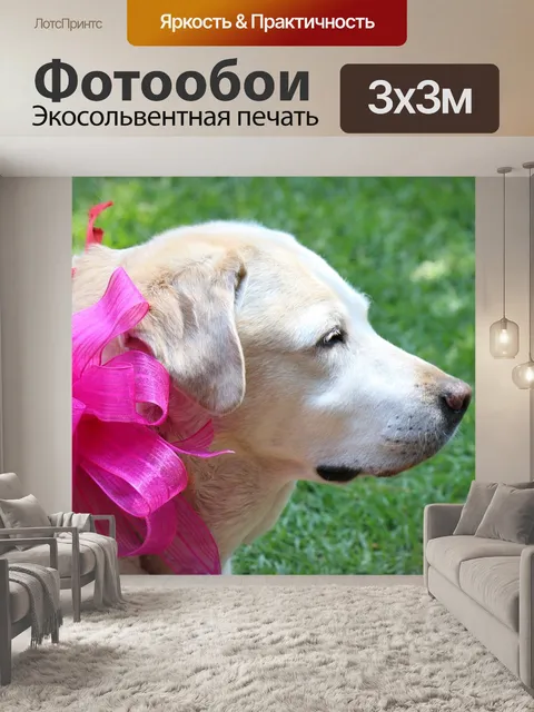 Фотообои Собака