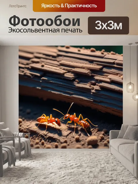 Фотообои дмитрий термитов в вечернем свете