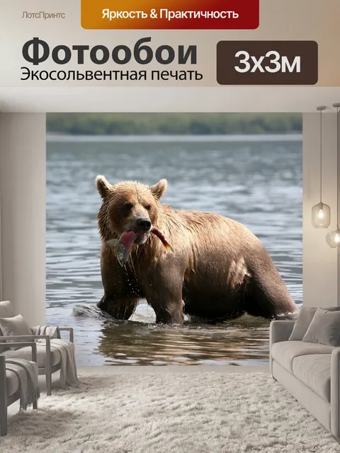 Фотообои Бурый медведь