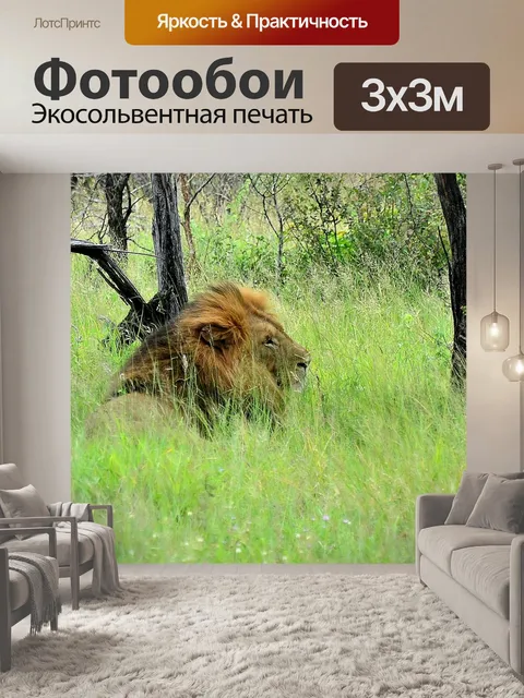 Фотообои Лев