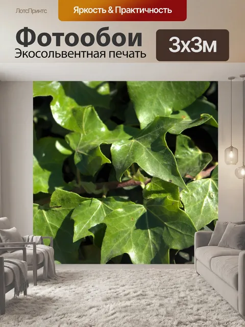Фотообои Плющ фон