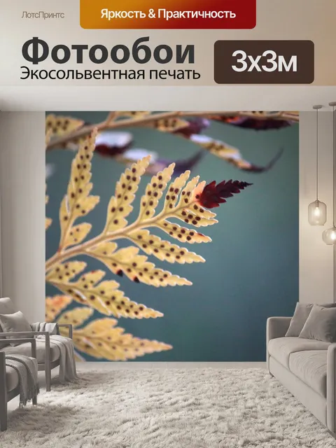Фотообои темно-коричневый сухой лист папоротника