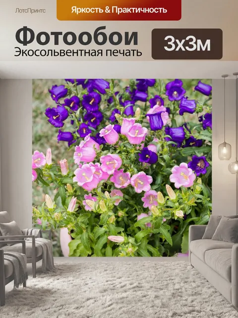 Фотообои Тайвань