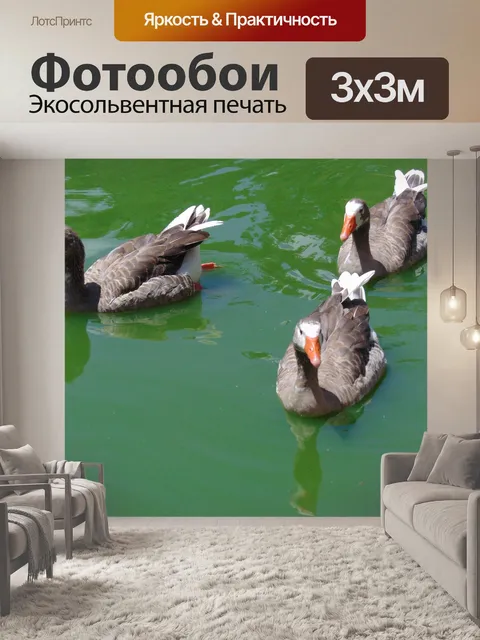 Фотообои Гусь