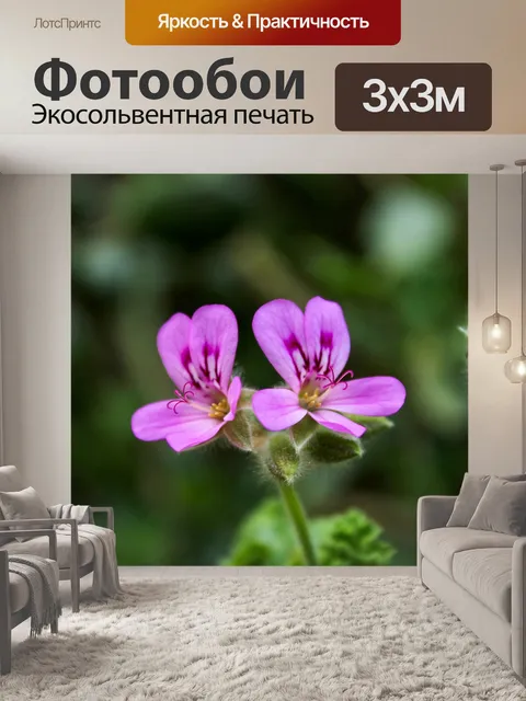 Фотообои Фиолетовые цветы