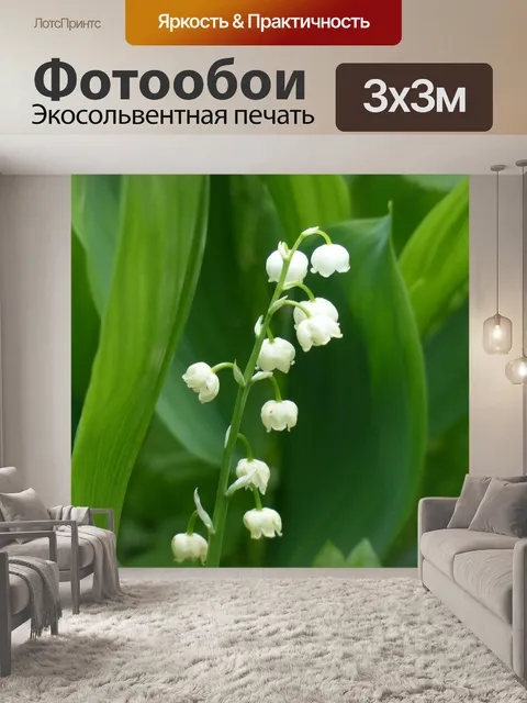 Фотообои Ландыш