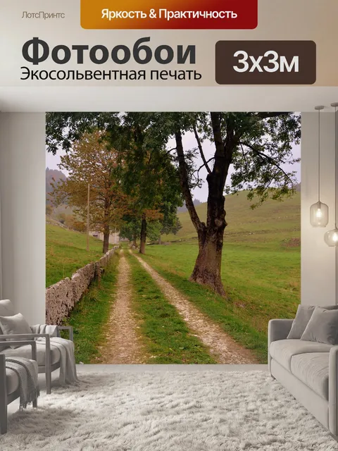 Фотообои Тропа