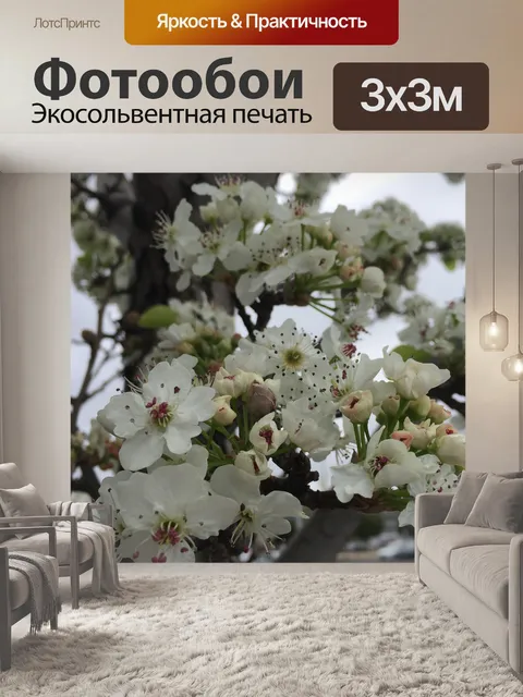 Фотообои Расцветает