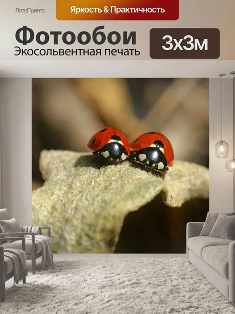 Фотообои Леди ошибка