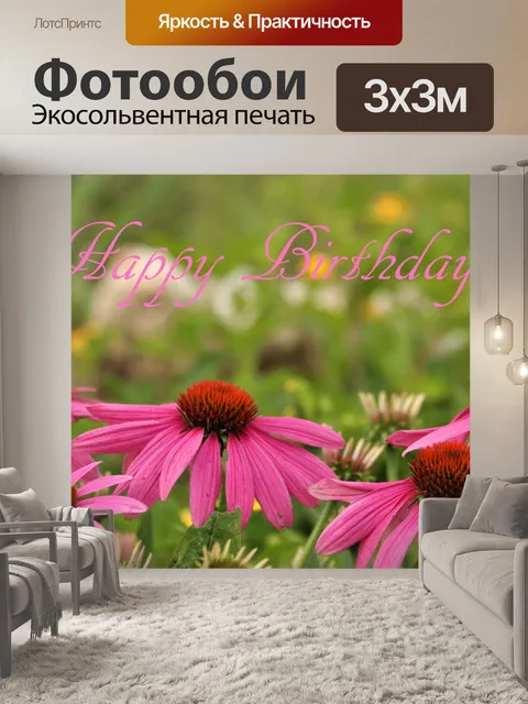 Фотообои С Днем Рождения Розовые Coneflowers
