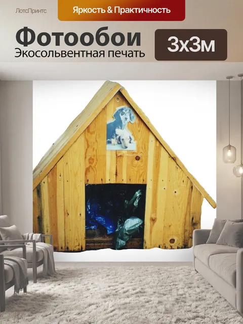 Фотообои Собака дома