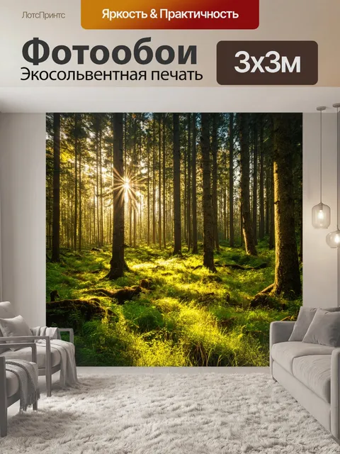 Фотообои дремучий лес с травяным покрытием и солнечными лучами