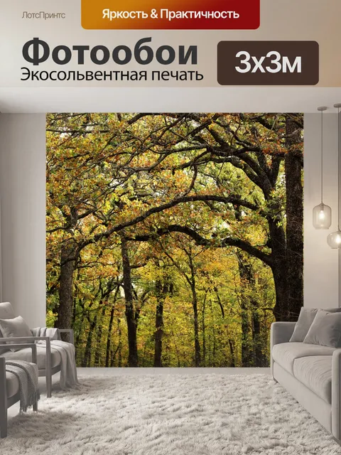 Фотообои Загородная тропа осенью 2