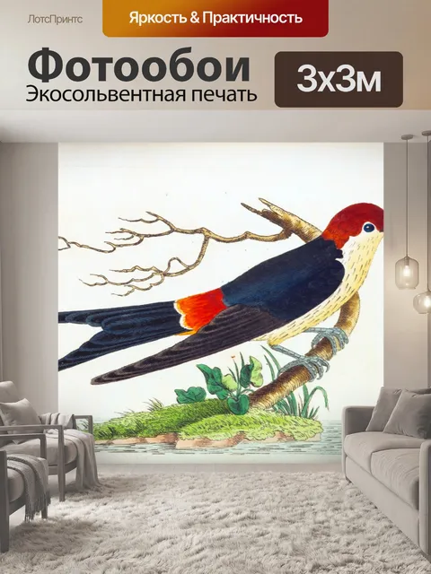 Фотообои Птица винтаж искусство старый