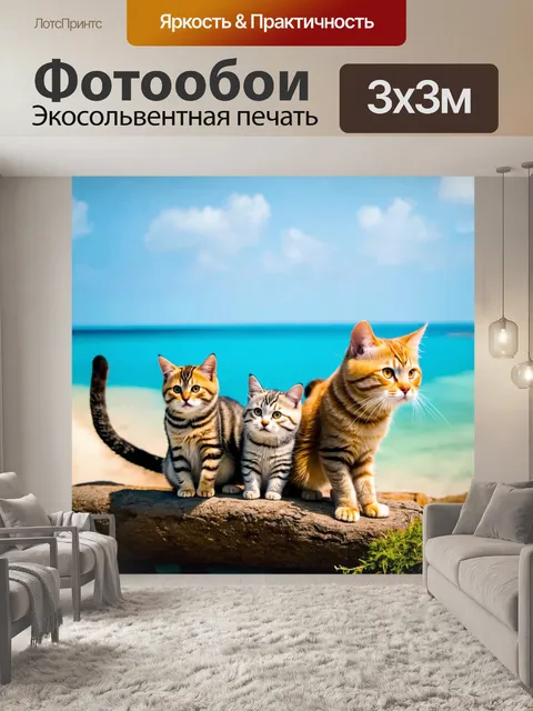 Фотообои кошки, погружающиеся в приключения на маленьком острове