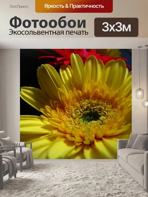Фотообои Желтый цветок Красный ромашка