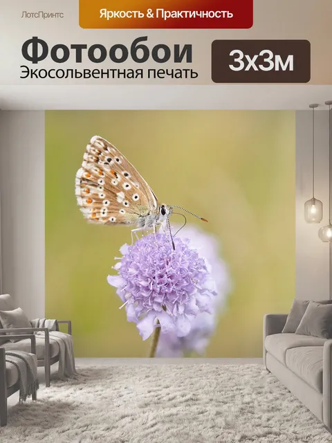 Фотообои Бабочка