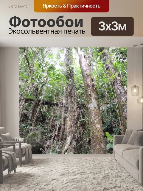 Фотообои Пуэрто-Рико тропических лесов