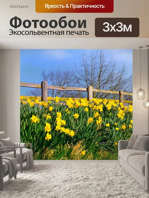 Фотообои Цветы