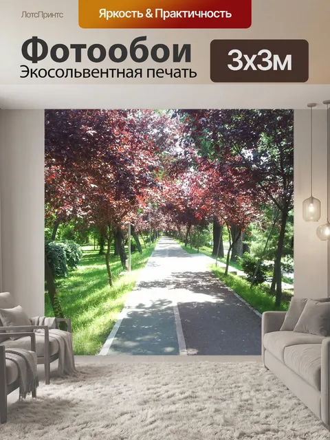 Фотообои Парк аллея