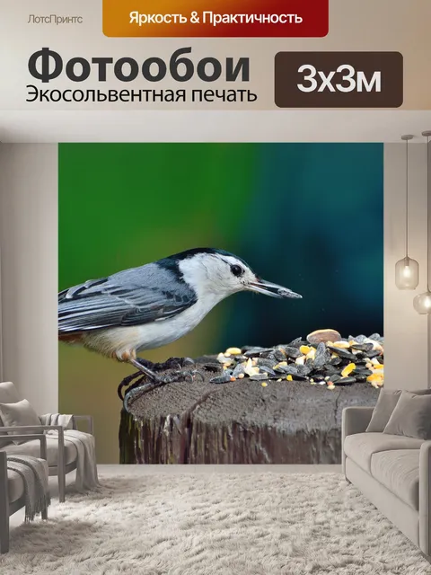 Фотообои Поползень