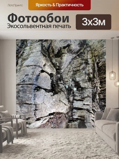 Фотообои Фон Palm Tree Барк