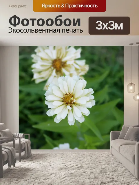 Фотообои Солнце